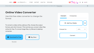Movavi Video Converter